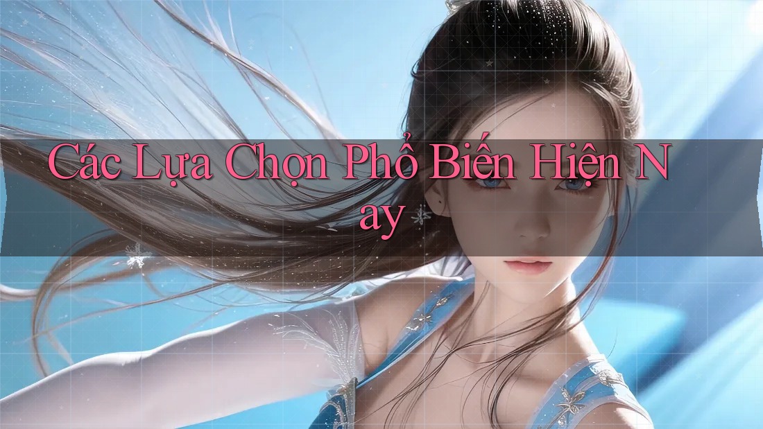 Các Lựa Chọn Phổ Biến Hiện Nay Các Lựa Chọn Phổ Biến Hiện Nay