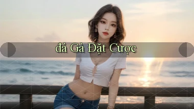 đá gà Đặt cược