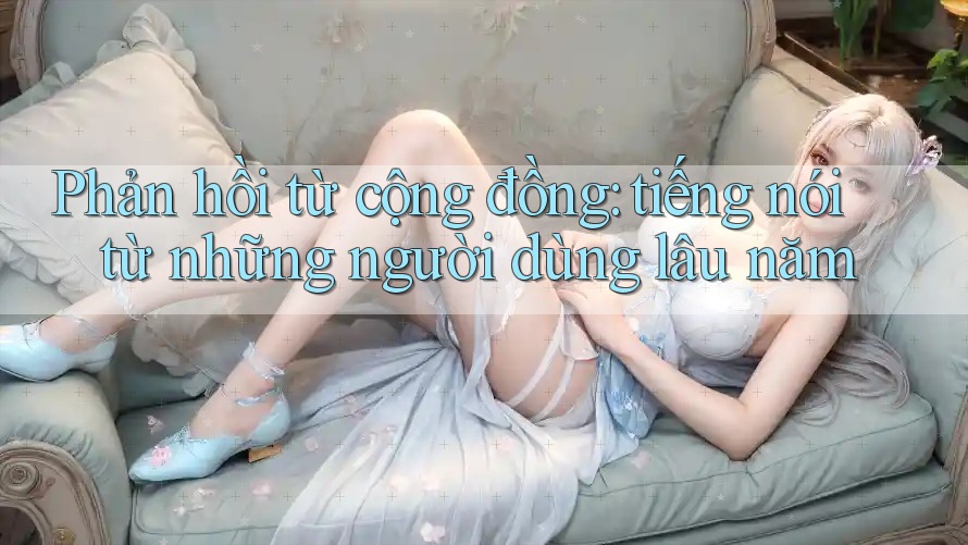 Phản hồi từ cộng đồng: tiếng nói từ những người dùng lâu năm