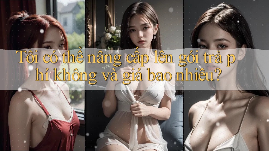Tôi có thể nâng cấp lên gói trả phí không và giá bao nhiêu?