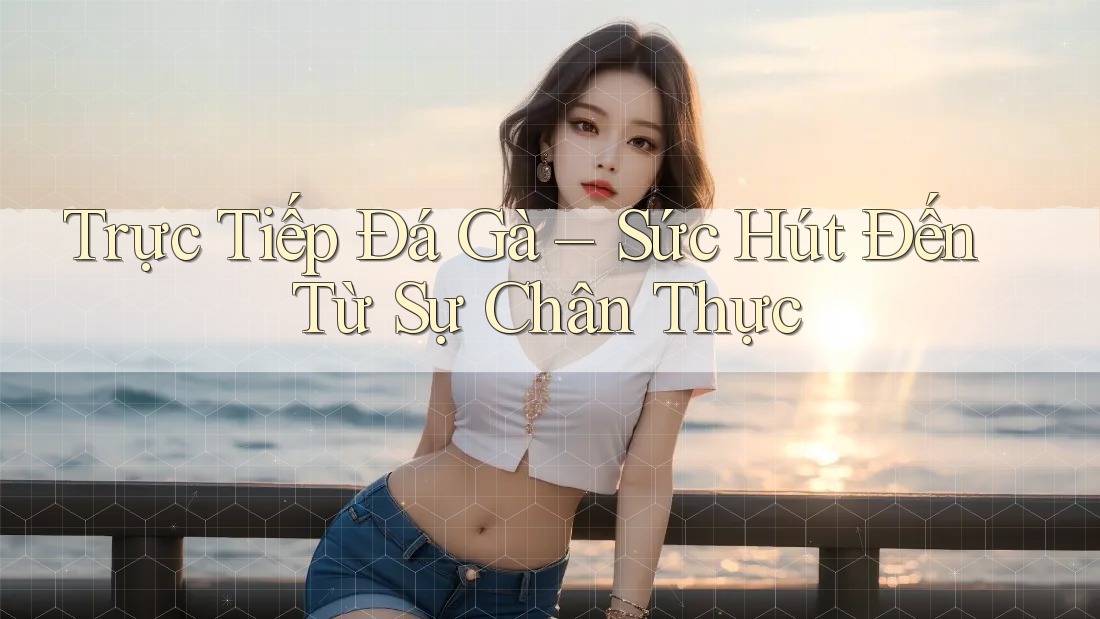 Trực Tiếp Đá Gà – Sức Hút Đến Từ Sự Chân Thực